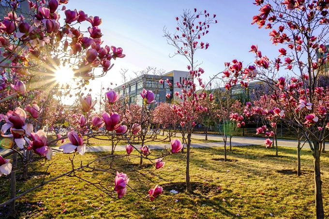 千赢国际qy(中国)唯一官方网站
