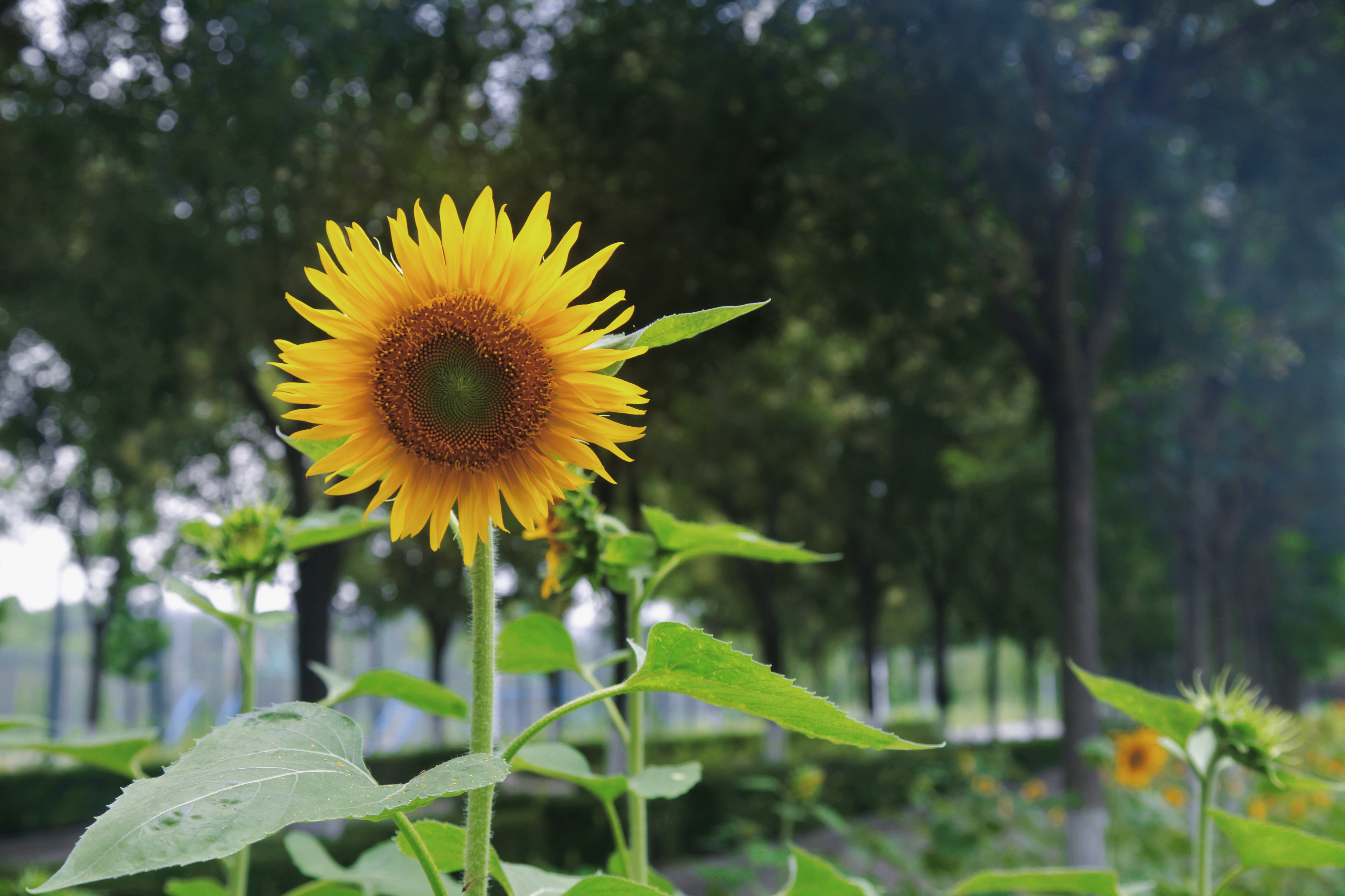 千赢国际qy(中国)唯一官方网站