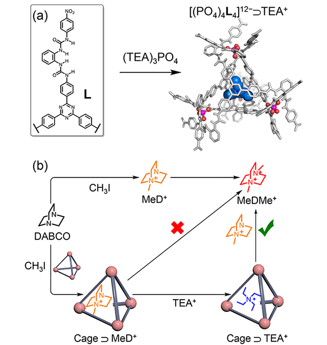 千赢国际qy(中国)唯一官方网站