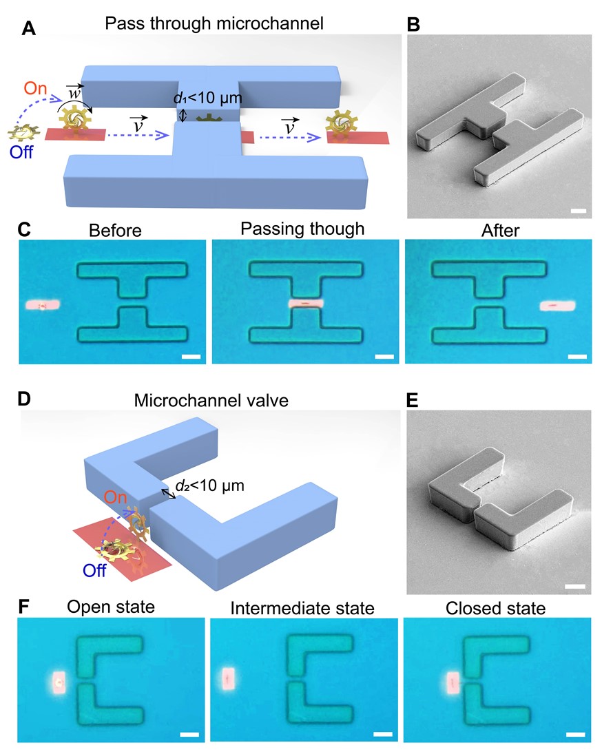 千赢国际qy(中国)唯一官方网站