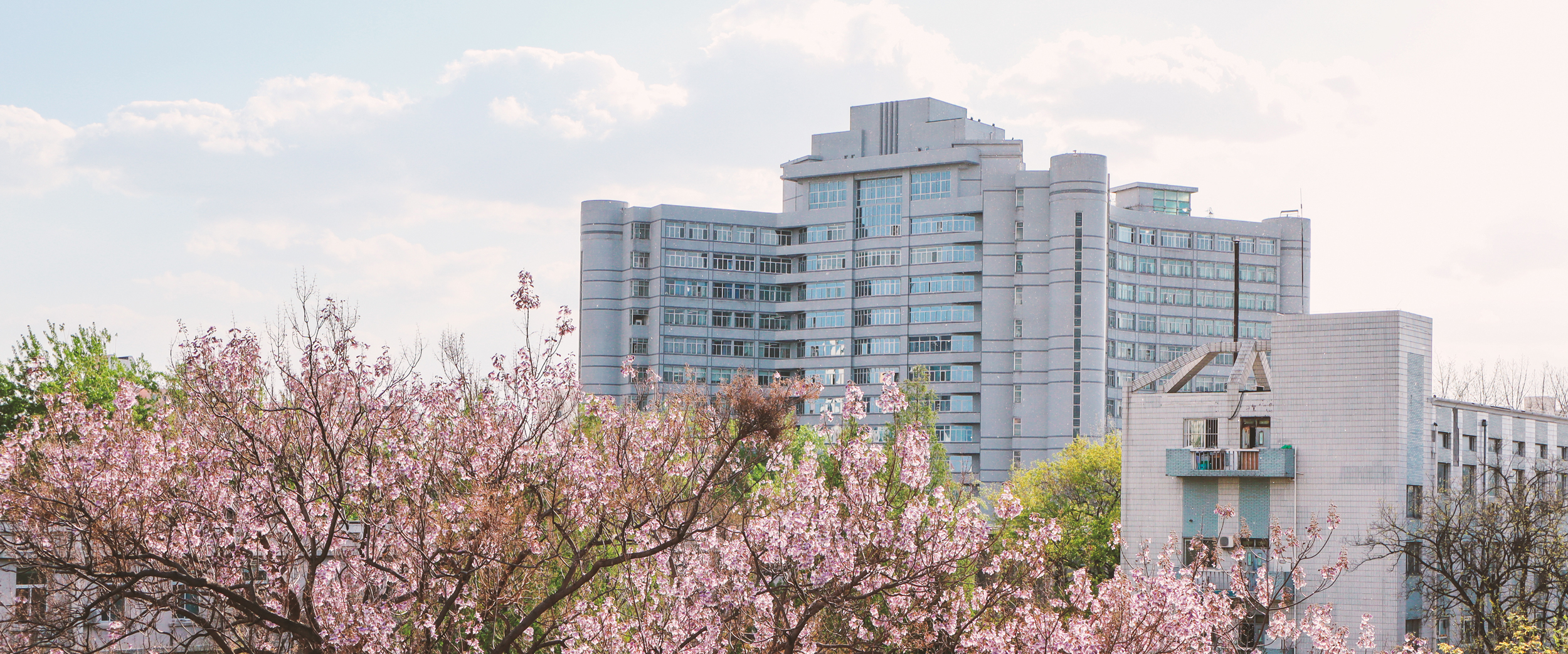 千赢国际qy(中国)唯一官方网站