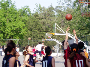 千赢国际qy(中国)唯一官方网站