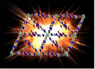 千赢国际qy(中国)唯一官方网站