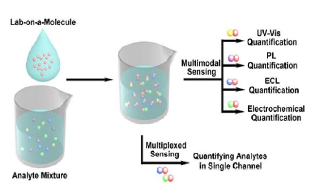 千赢国际qy(中国)唯一官方网站