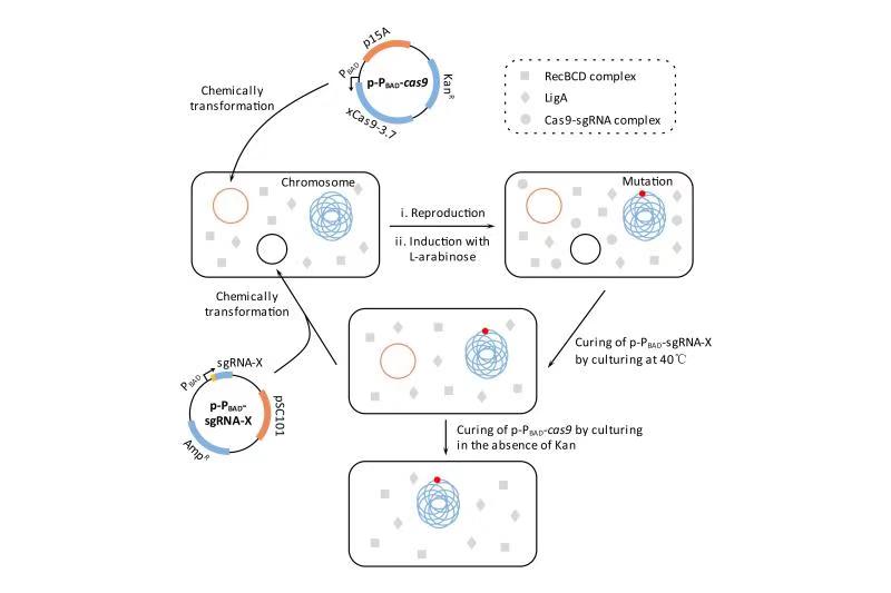 千赢国际qy(中国)唯一官方网站