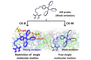 千赢国际qy(中国)唯一官方网站