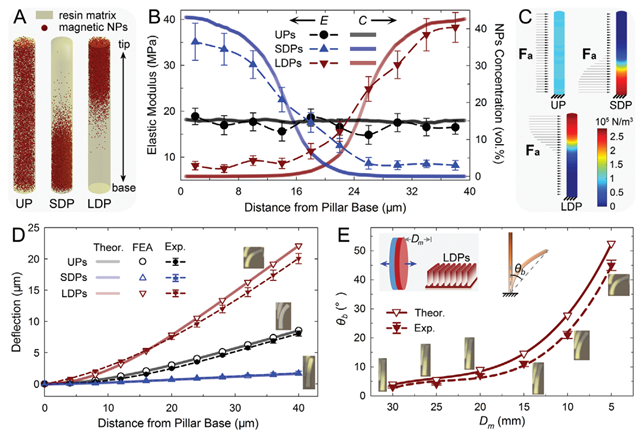 千赢国际qy(中国)唯一官方网站