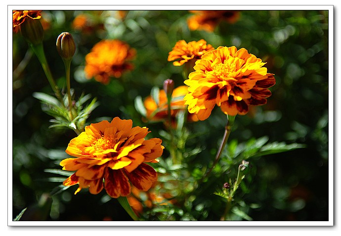 千赢国际qy(中国)唯一官方网站