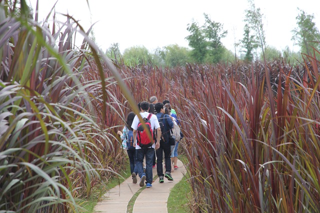 千赢国际qy(中国)唯一官方网站