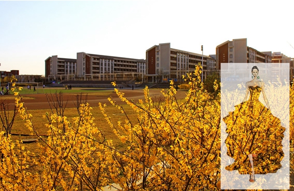 千赢国际qy(中国)唯一官方网站