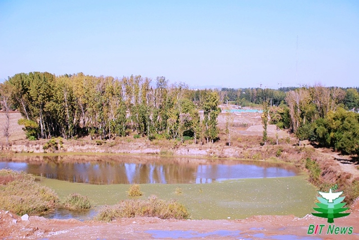 千赢国际qy(中国)唯一官方网站