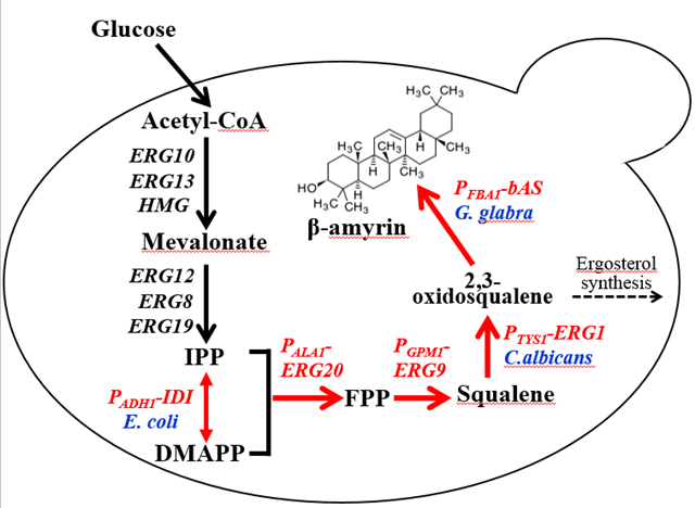 千赢国际qy(中国)唯一官方网站