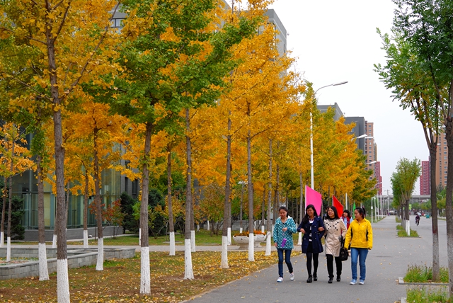 千赢国际qy(中国)唯一官方网站
