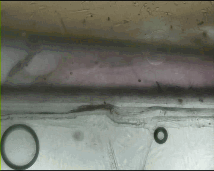 千赢国际qy(中国)唯一官方网站