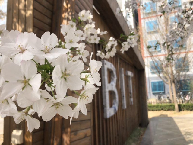 千赢国际qy(中国)唯一官方网站