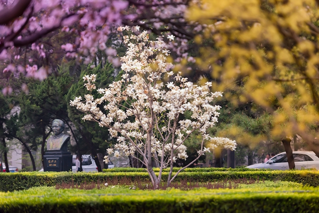 千赢国际qy(中国)唯一官方网站