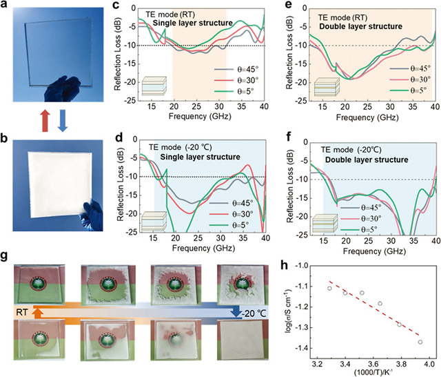 千赢国际qy(中国)唯一官方网站
