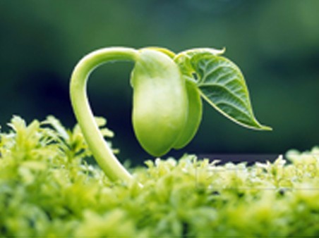 生态环境部部长：关于水性漆出产过程废水是否为危废叨教的回复